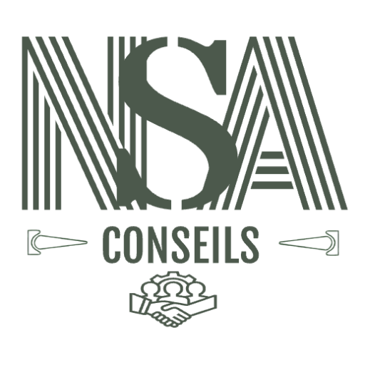 nsa-conseils.com